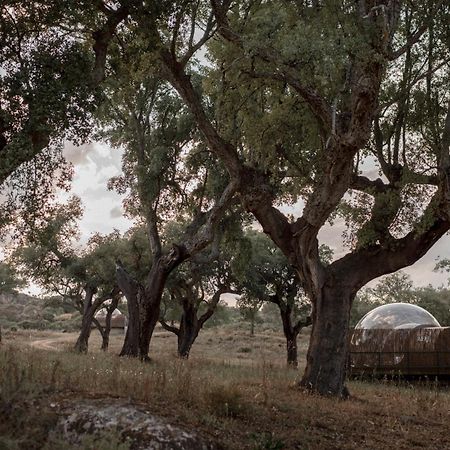 Finca El Cortinal Valencia de Alcántara エクステリア 写真
