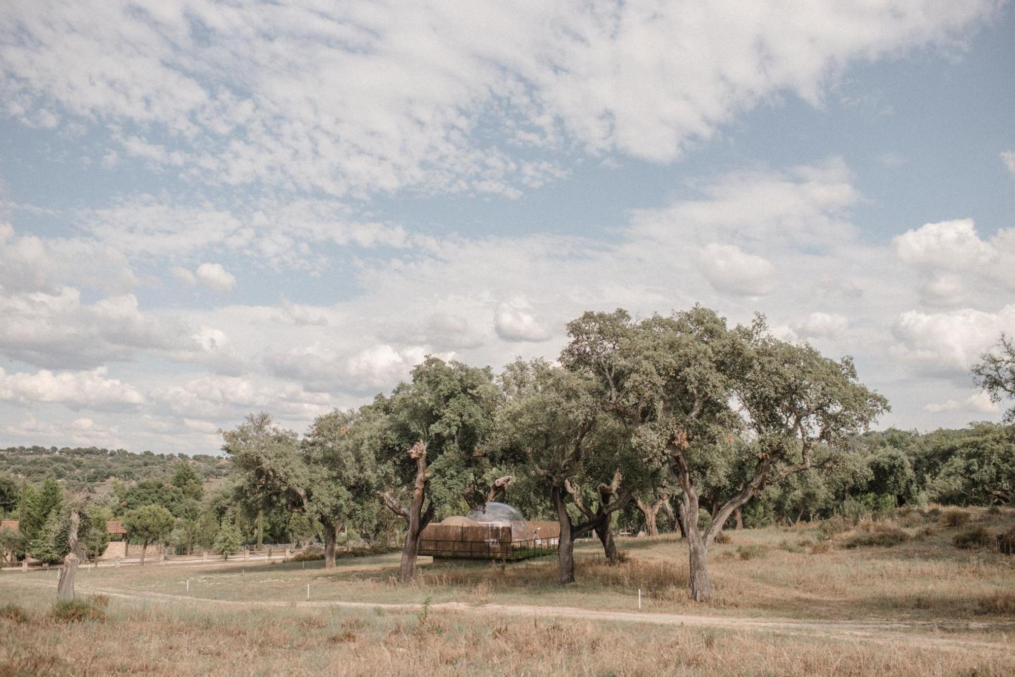 Finca El Cortinal Valencia de Alcántara エクステリア 写真