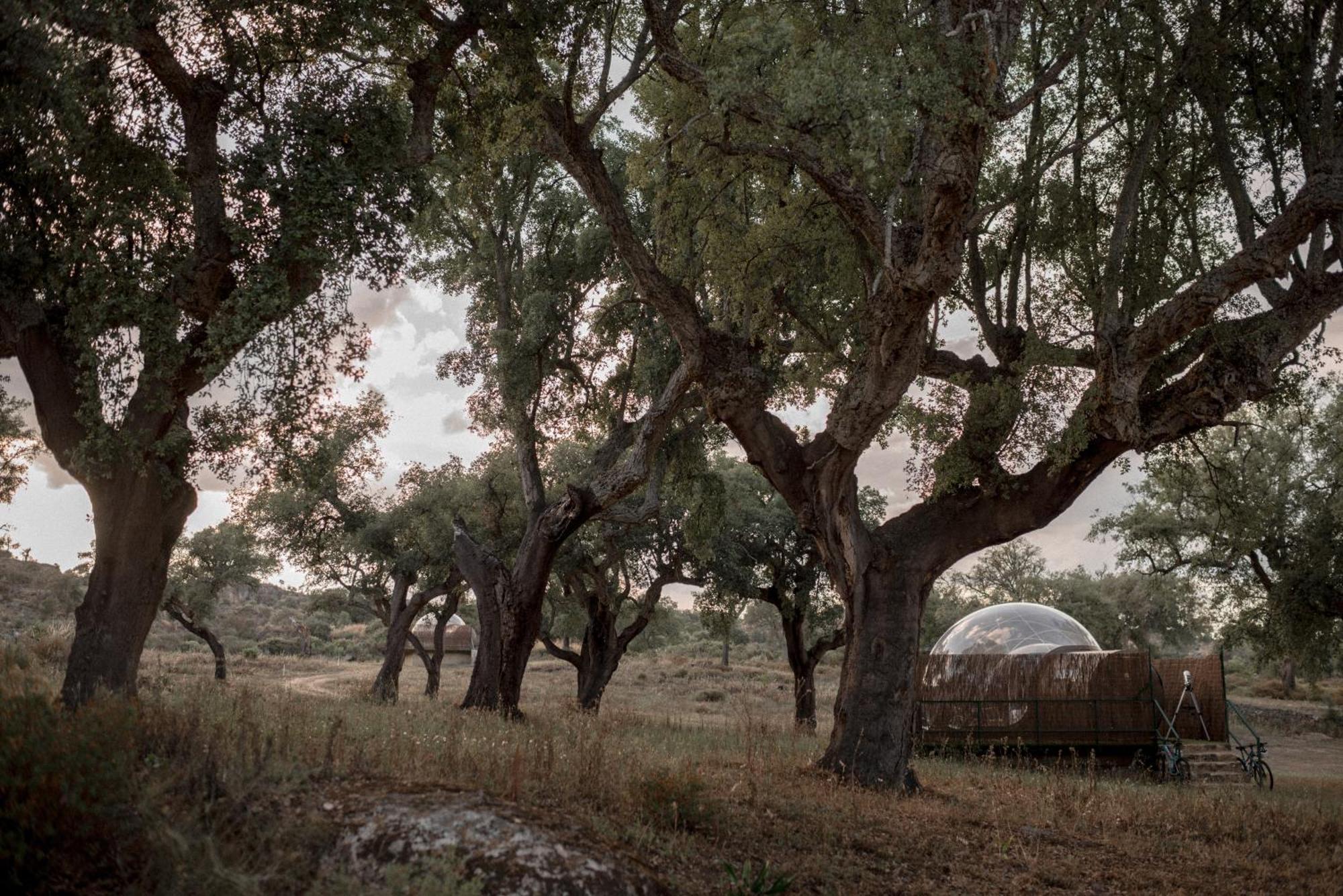 Finca El Cortinal Valencia de Alcántara エクステリア 写真